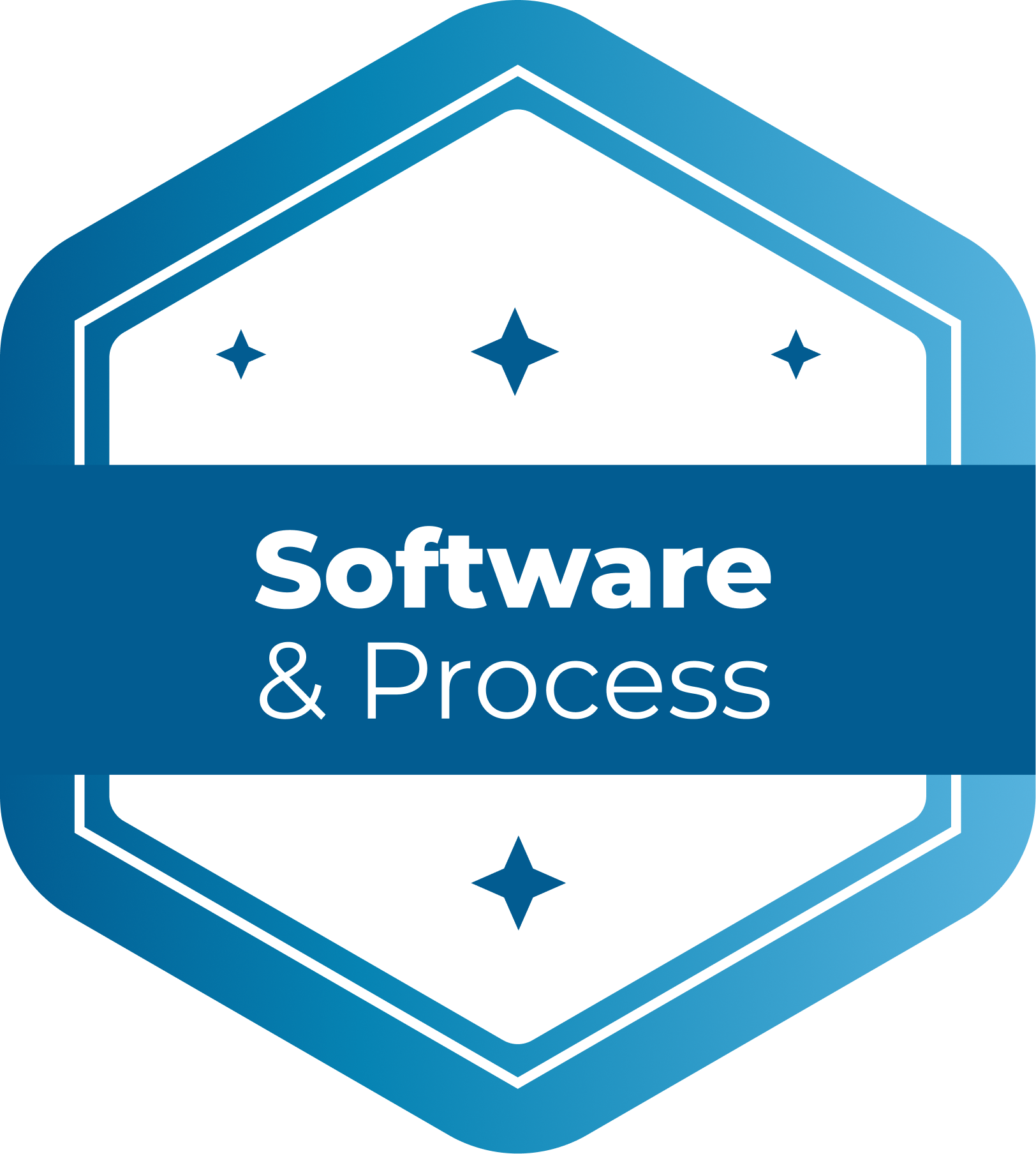 Software & Process